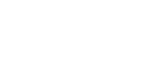 Dlive Detroit Is Valuable Everyday